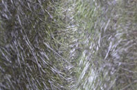 Cnoc Bhuirgh fibreglass roof work