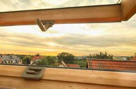rated Cnoc Bhuirgh roof window companies